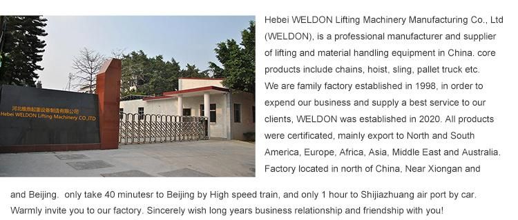 Lifting Pallet Chain Block Black High Strength Hoist Industria G80 Grade Chain