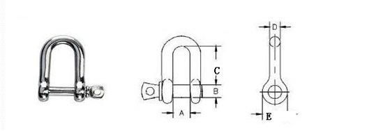 Customized Special Size Width D Shackle in Ss 316