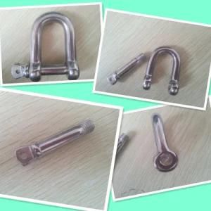 AISI 304 316 European Type Stainless Steel Dee Shackle