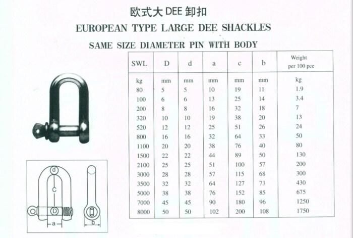 Hardware Stainless Steel Large Dee Shackle with Pin for European