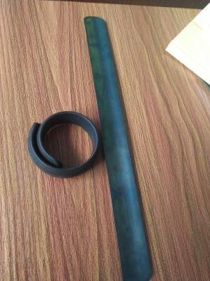 Customized Ruler Tape Spring in Good Quality