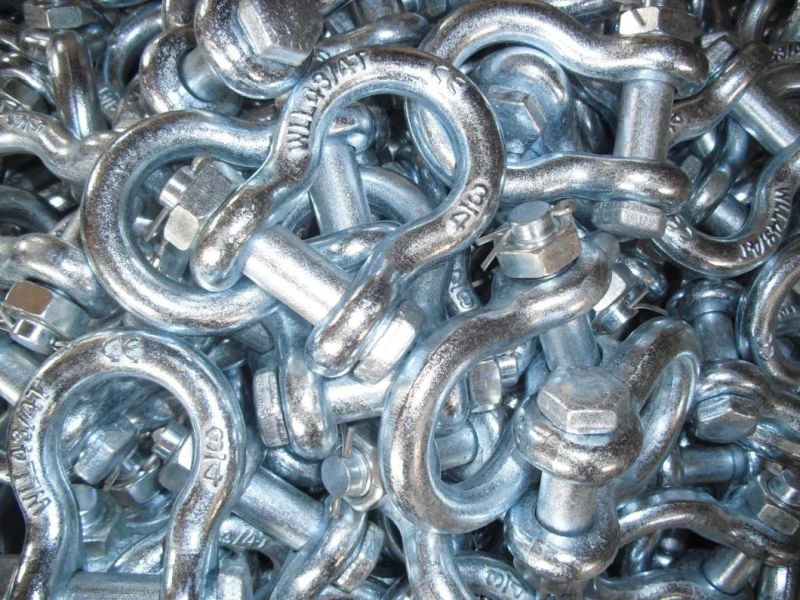 European Bow Type Shackle, E. Galvanized, Good Quality