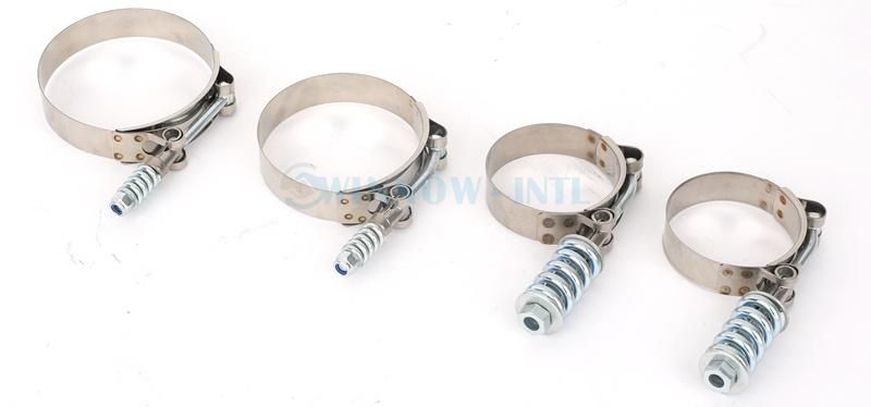 Stainless Steel 304/316 Industrial T Bolt Spring Loaded Clamps