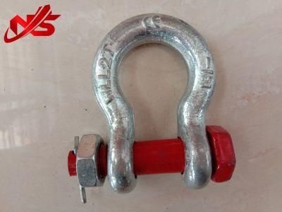 ASTM Standard Secutity Bow Shackle G2130