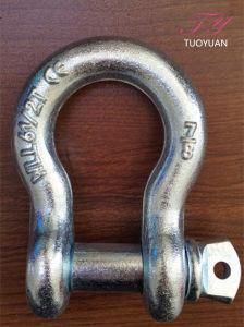 U. S. Type Drop Forged Screw Pin Bow Shackle