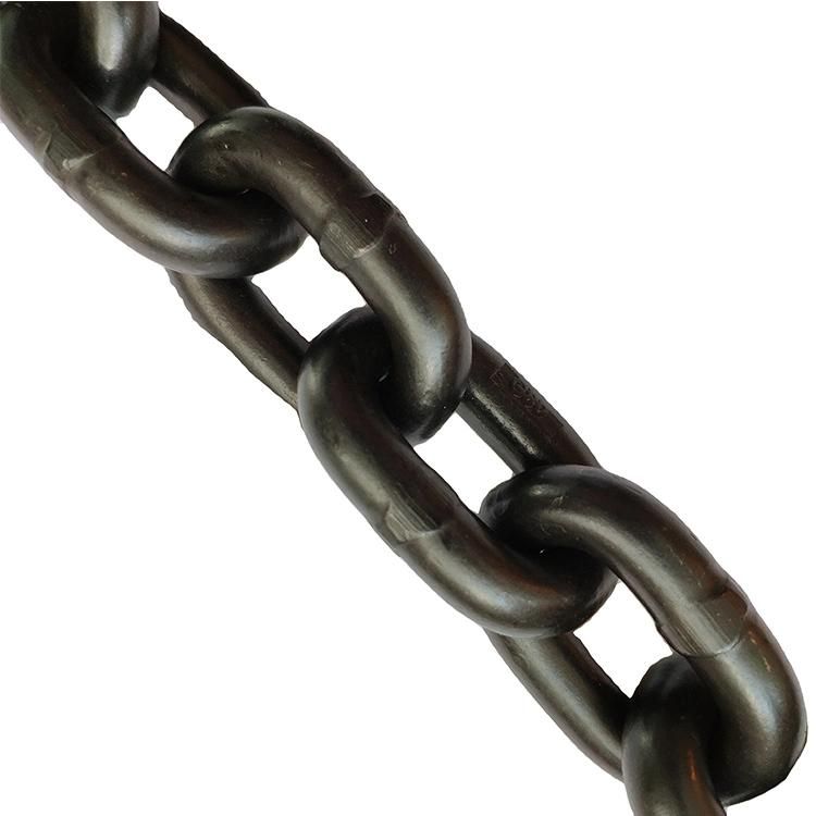 High Strength Strong Carbon Steel Hoist Chain for Equipment Industry