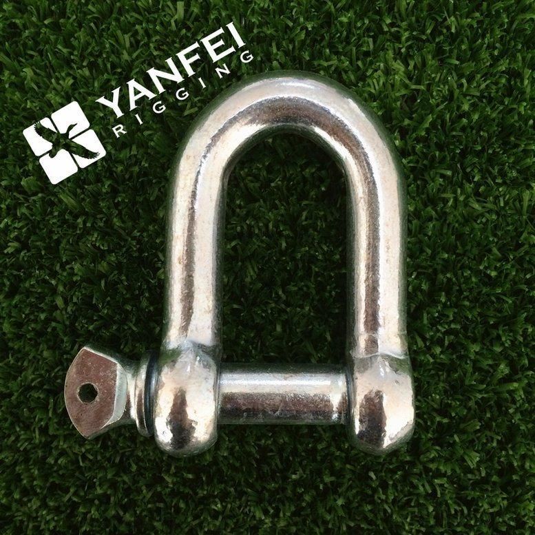 Stainless Steel Long D Shackle