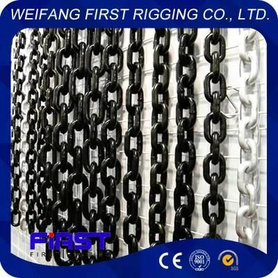 The Best Quality Customized Stainless Steel Chain Sling for Lifting