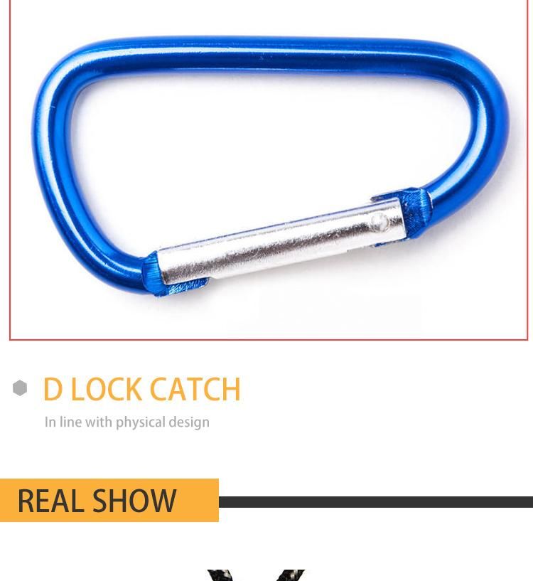 China Factory Wholesale Fashion Metal D Shape Keychain, Key Ring Aluminium Carabiner Clip