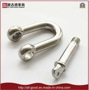 stainless Steel Rigging European Type D Shackle