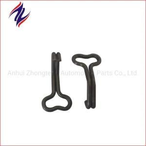 Custom Special Spring Metal Shaped Hook