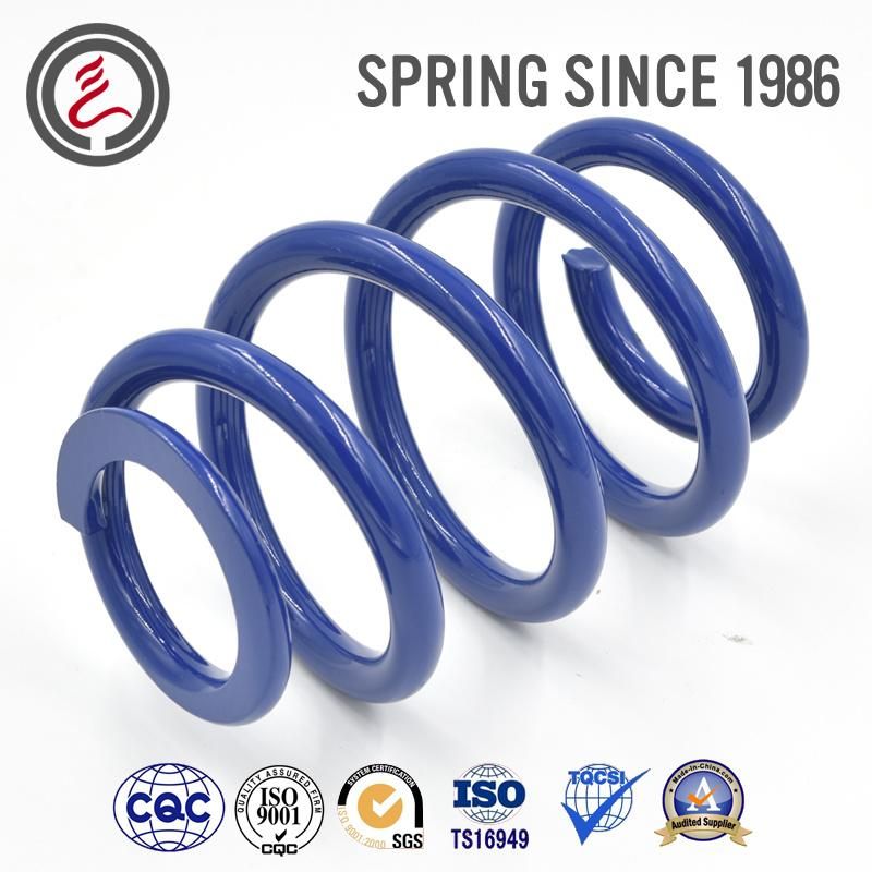 Custom High Precision Bearing Spring