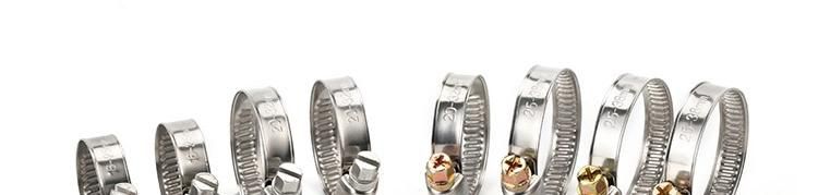 German Type Stainless Steel Auto Fastener & Clip