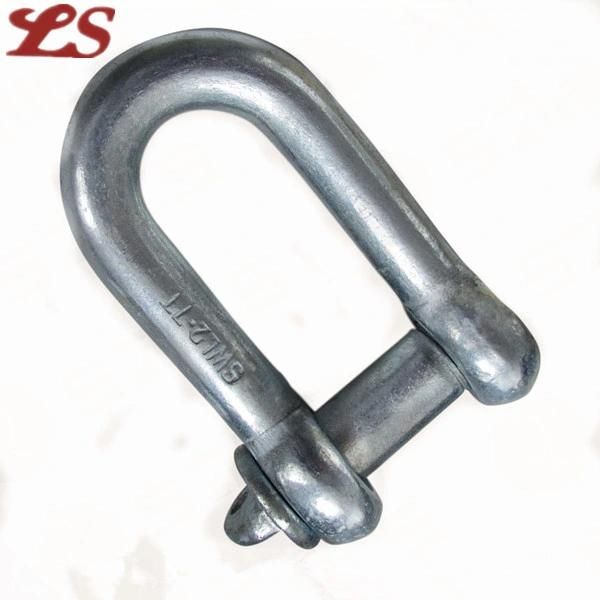 European Type Large Dee Shackle