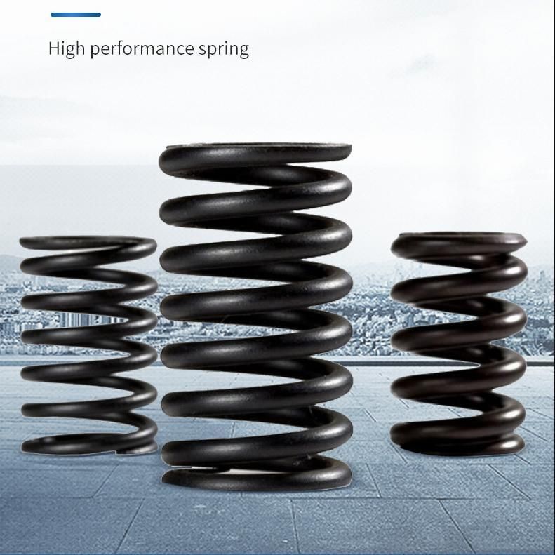 Spring Factory OEM Big Size Compression Spring for Wholesale