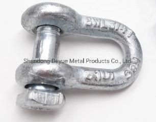 20mm European Type Large Stainless Steel Dee Shackle Rigging Hardware Fittings