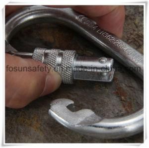 OEM Professional ISO9001 Small Carabiner