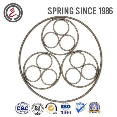 Oil Seal Spring for Mcchines Sealing Element