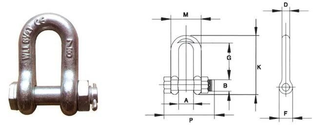 Wholesale Hardware Rigging Electric Galvanized D Shackle