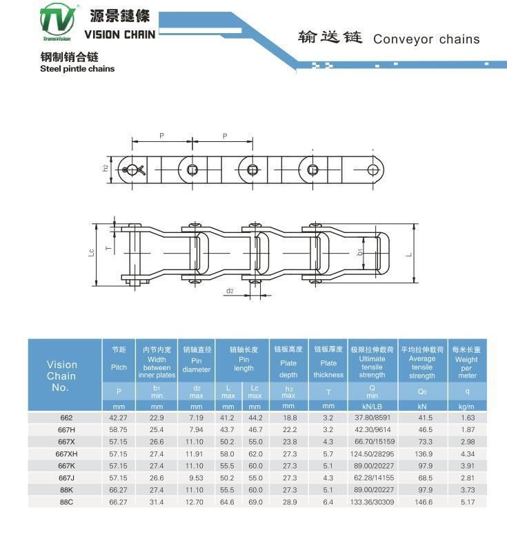 The High Quality Steel Pintle Chain China Supply