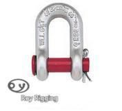 Us Type D Shape Anchor Shackle with Round Pin