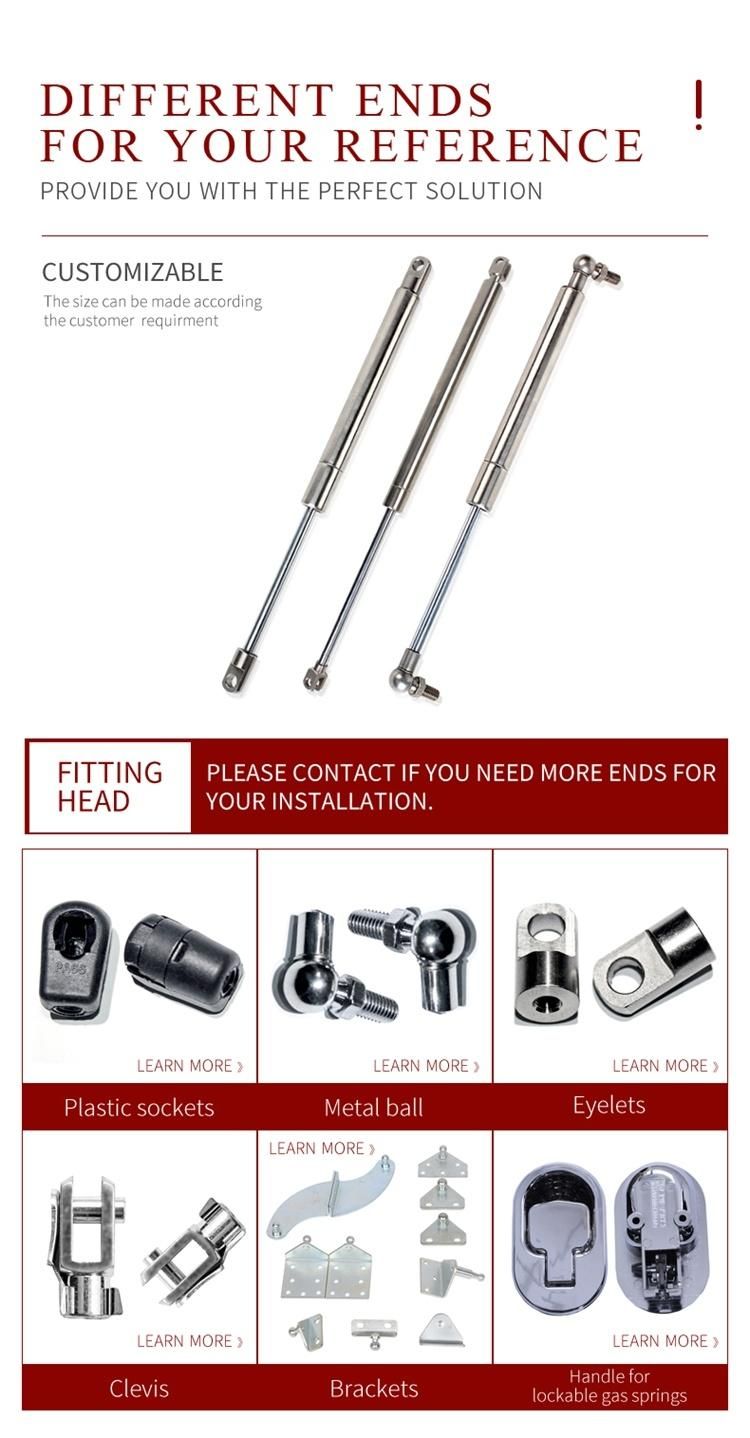 SS316 Gas Springs with SS316 Ball Studs Hot Sale