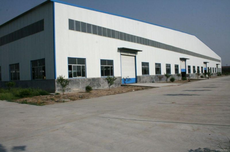 Factory OEM Stainless Steel Torsion Spring for Auto Brakes, Clutches, Furnitures, Toys