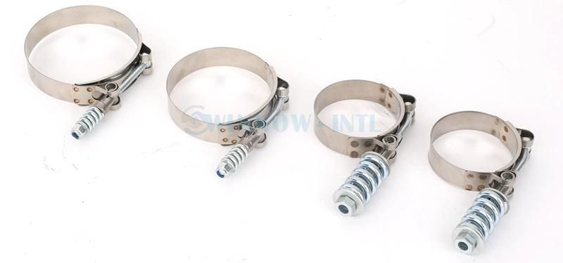 High Torque T Bolt/Lock Hose Clamp with Spring