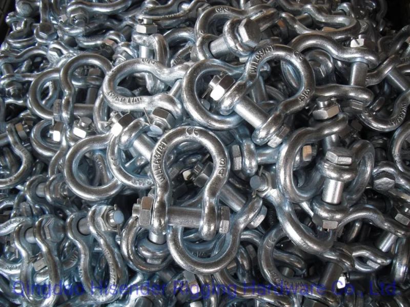 Shackle, D Type, Ss316 and Galvanized Type, European D Type, JIS D Type, Rigging Hardware, Marine Hardware