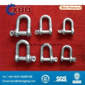 Electric Galvanized European Type Large Dee Shackle
