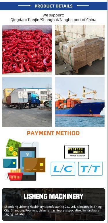 China Manufacturer of G80 Rotary Cargo Swing Hook