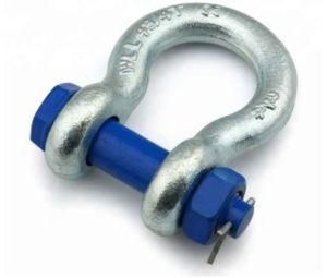 Grade 316/304 Stainless Steel Shackle Hot Forged D Shackle Type