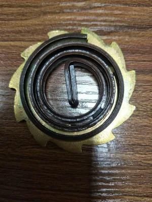 Flat Spiral Scroll Spring for Rachet Strap