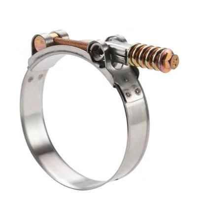 Customized Adjustable Heavy Duty Heavy Duty Radiator Spring Hose Clamp