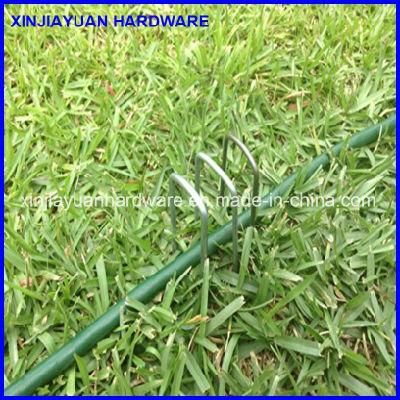 Supply High Quality Electrostatic Spray U Type SOD Staple