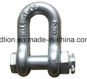 Us Type Forged Shackle with Certificates