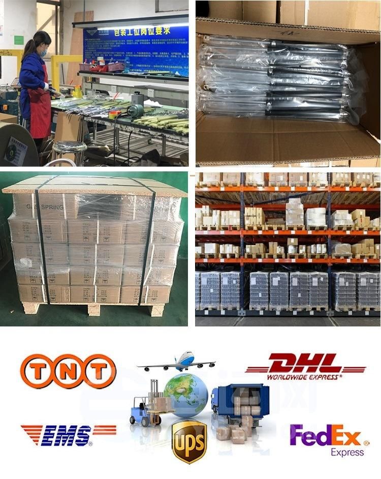 C E Approved Factory Hot Sale 30n Easy Lift Air Spring Gas Spring for Automobile Tool Box