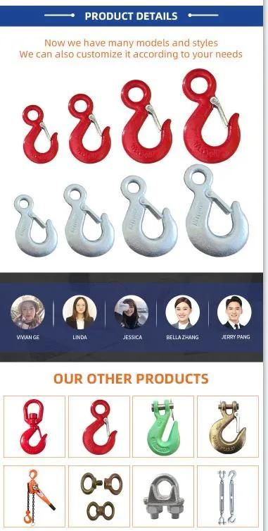 Wholesale Hardware Rigging Cargo Chain Lifting Rigging Alloy Steel Drop Forged Eye Slip Hook with Safety Latch