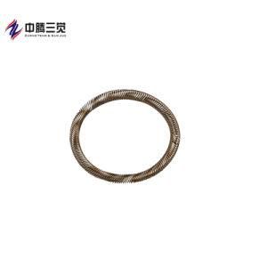 Customized Manufacturer Radial O Shape Stainless Steel Oil Sea Interlock Garter Spring