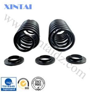 Stainless Steel Catalyst Retaining Spring