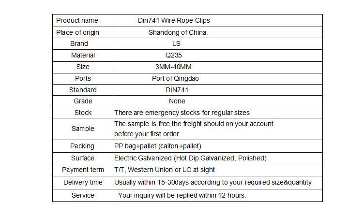 Casting DIN741 Wire Rope Clip