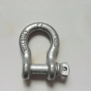 European Type Large Stainless Steel Rigging 304 Grade Bow Shackle