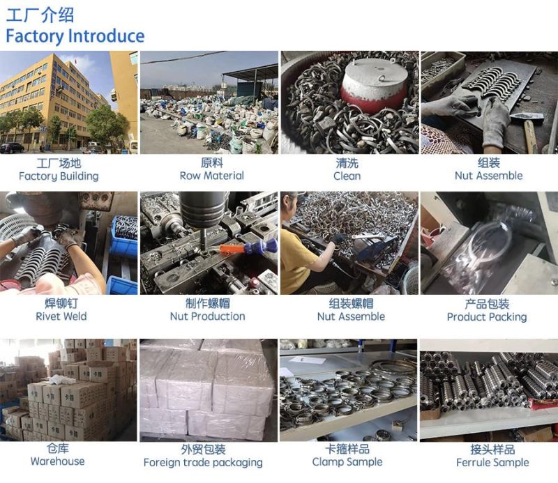 Sanitary Stainless Steel 4inch High Pressure Clamp