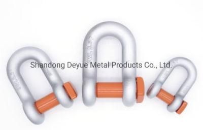 D Shackle with Screw Pin High Precision Made of Stainless Steel
