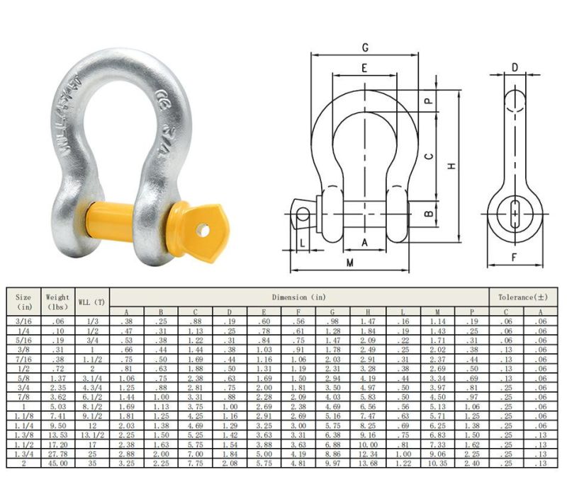 Hot-Selling Forged Hot-DIP Galvanized Shackle G209