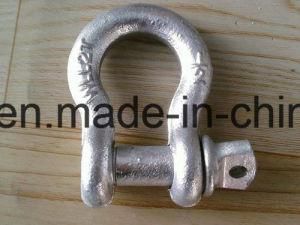 G209A Shackle/Screw Pin Shackles