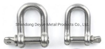 European Type Oversized Slot Head Hexagonal Sink Pin Dee Shackle, AISI304/316 Stainless Steel Material